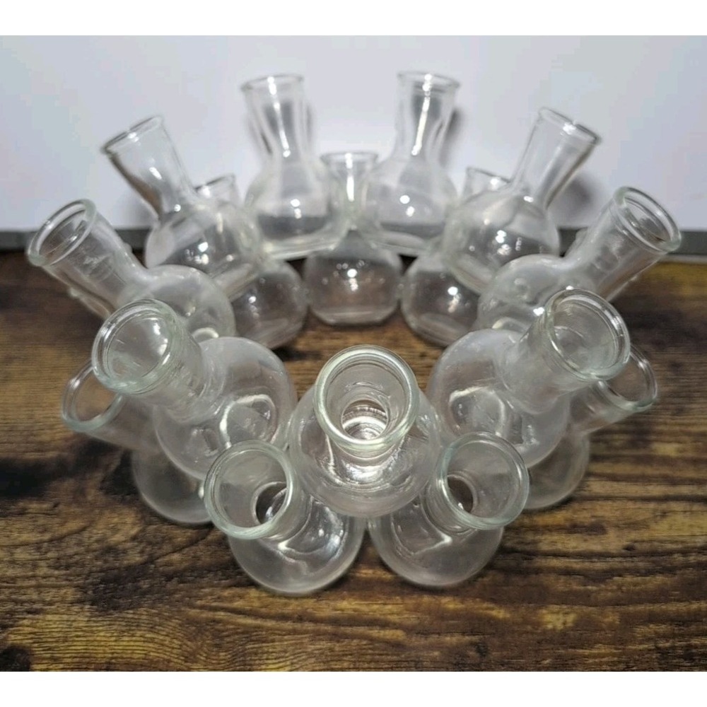 glass vintage FROG flowers cluster centerpiece 18 bud count vase Propagation
